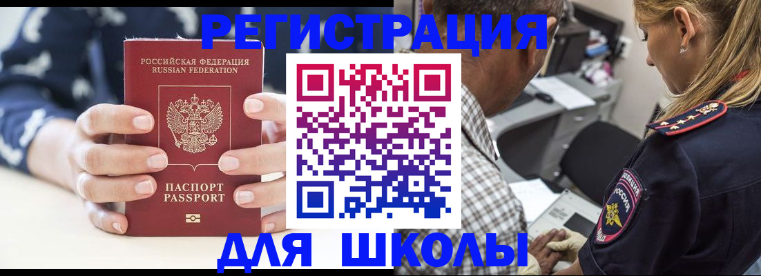 прописка поиск в Павловске